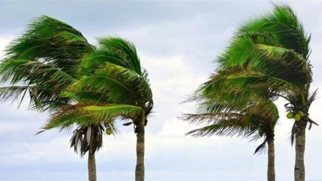 الأرصاد تعلن تفاصيل حالة الطقس المتوقعة من السبت وحتى الأربعاء المقبل